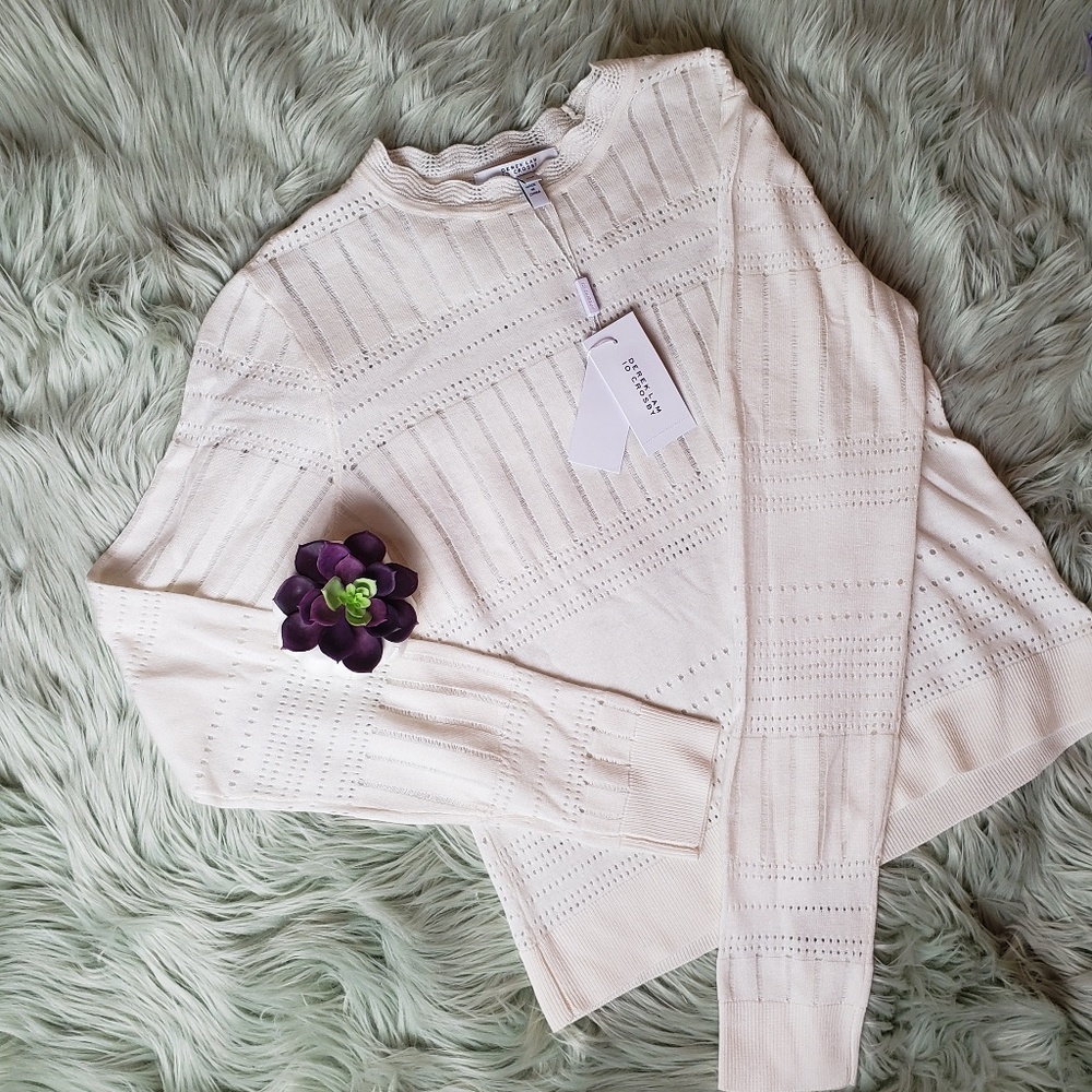 Nwt 10 crosby Derek Lam ivory lace sweater